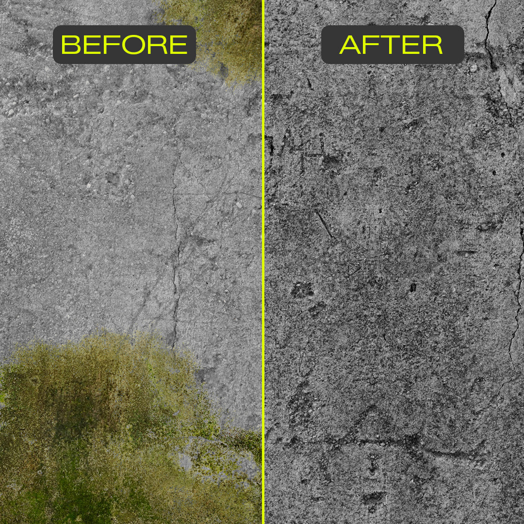 Fungus and Mold remover