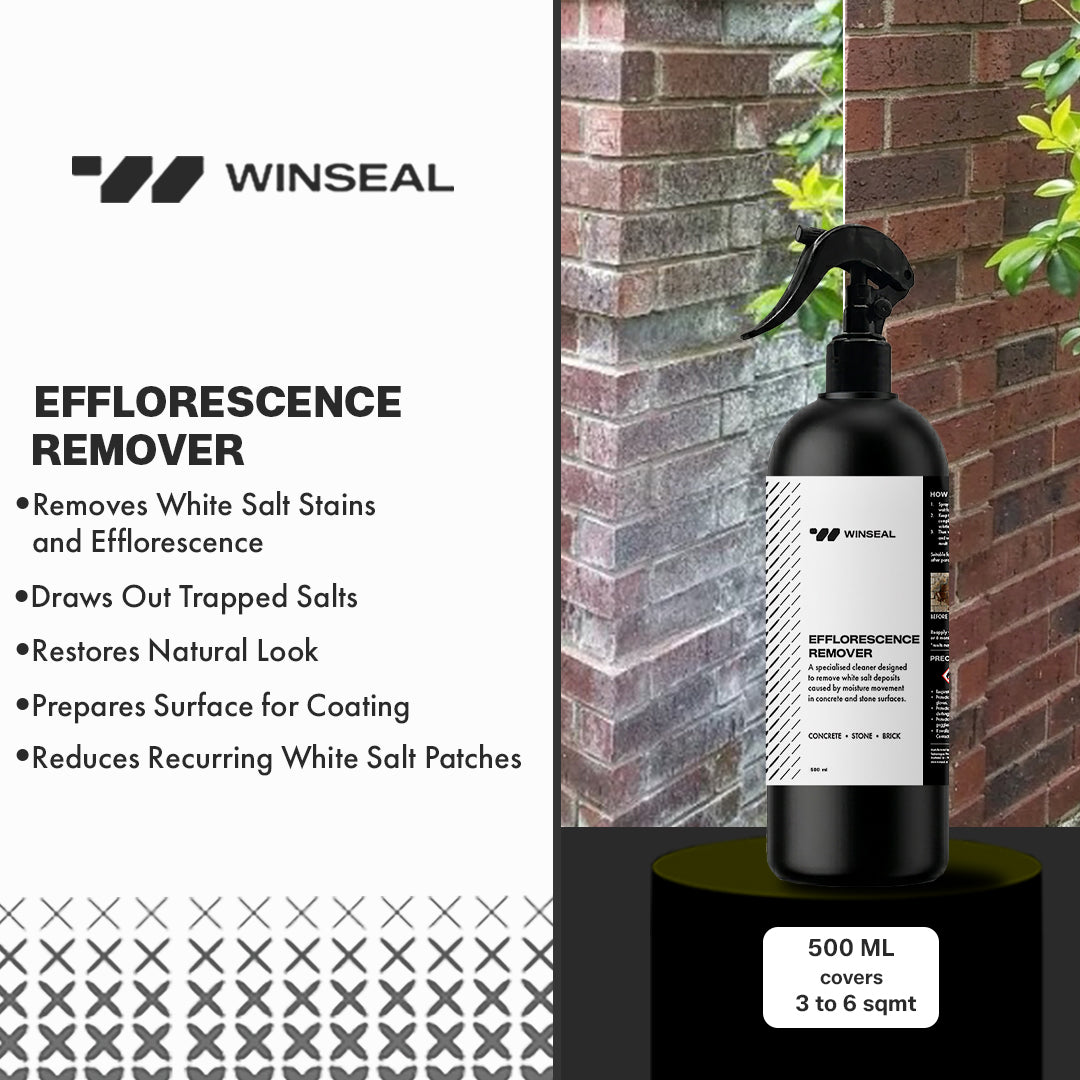 Efflorescence remover