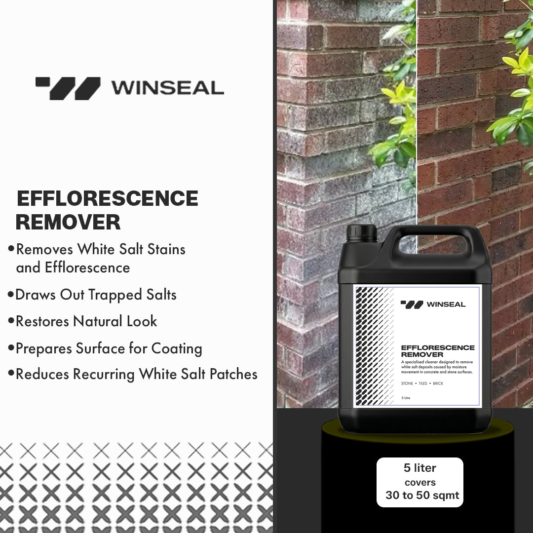 Efflorescence remover