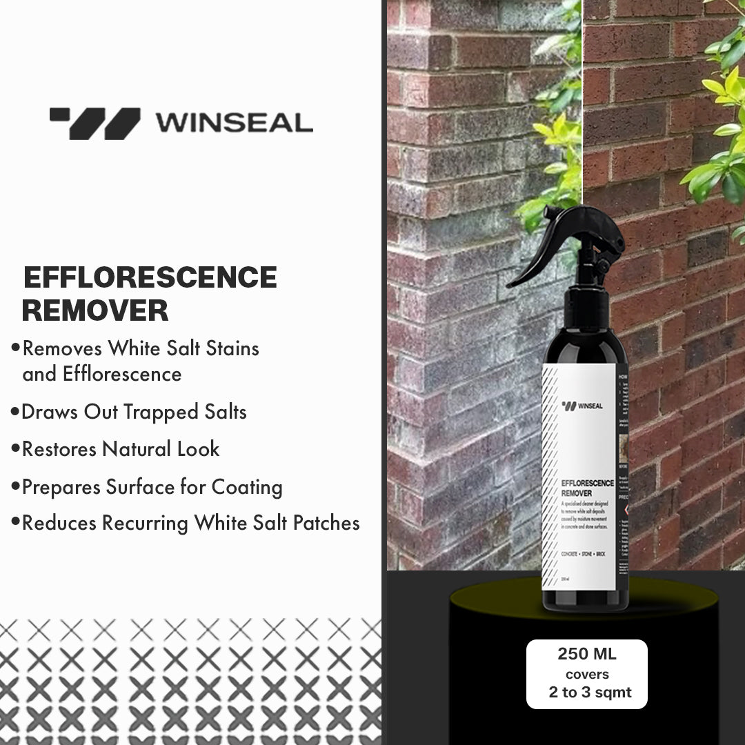 Efflorescence remover