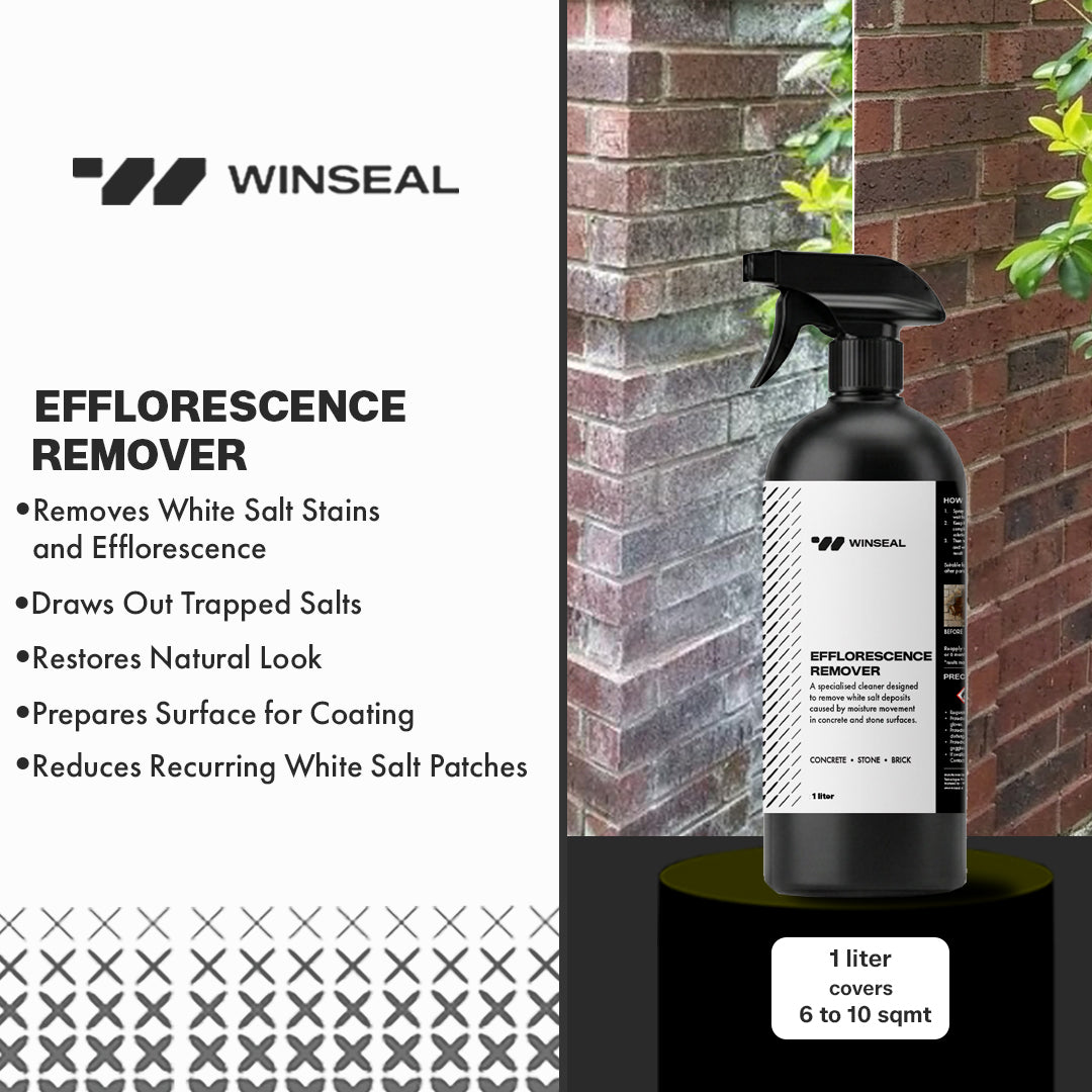Efflorescence remover