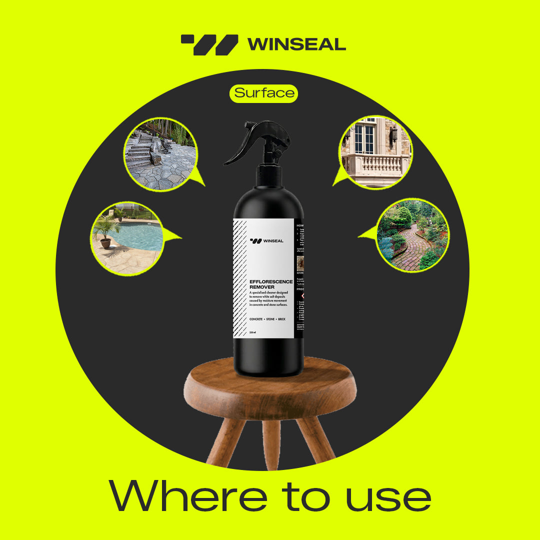 Salt and Stain Remover Kit